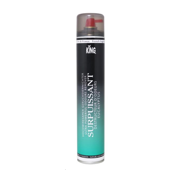 DESTRUCTEUR ODEURS EUCALYPTUS 750ML