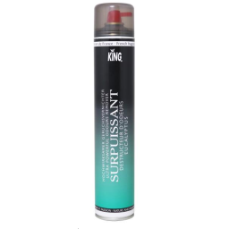 DESTRUCTEUR ODEURS EUCALYPTUS 750ML
