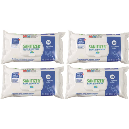 LOT 4 X 80 LINGETTES DESINFECTANTES