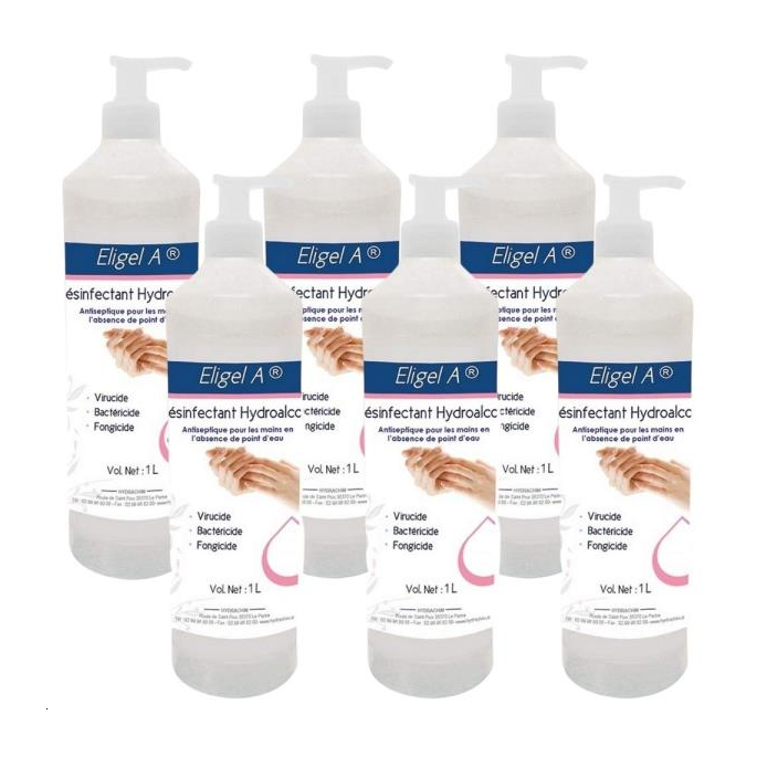 6 GELS HYDROALCOOLIQUES ELIGEL 1L