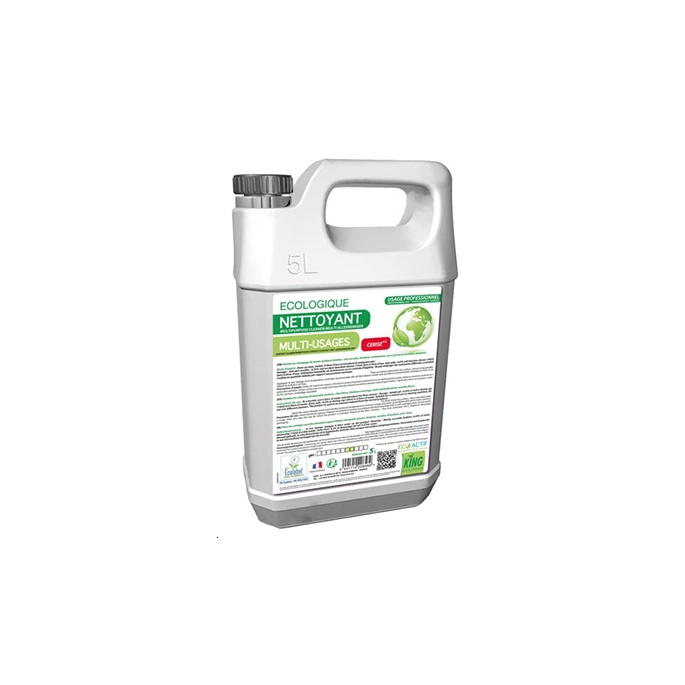 NETTOYANT MULTI-USAGES 5L CERISE