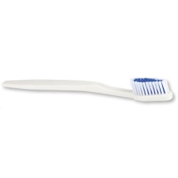 50 BROSSES A DENTS MEDIUM ADULTES