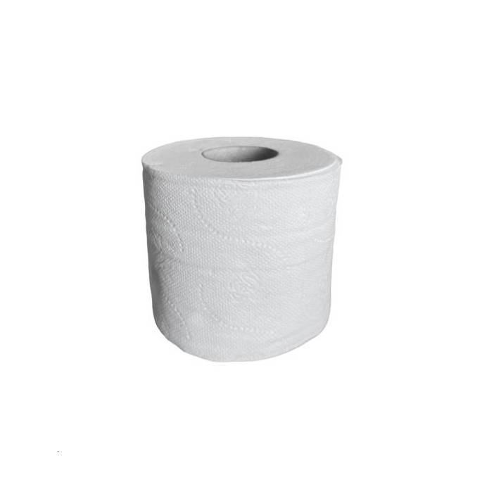 40 RLX PAPIER TOILETTE DOMESTIQUE