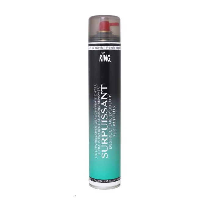 DESTRUCTEUR ODEURS EUCALYPTUS 750ML